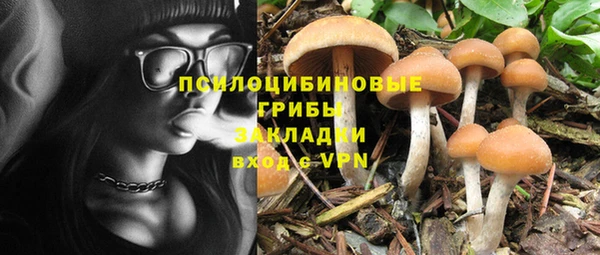 ECSTASY Белоозёрский